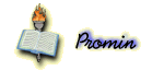 -- Promin -- flame icon